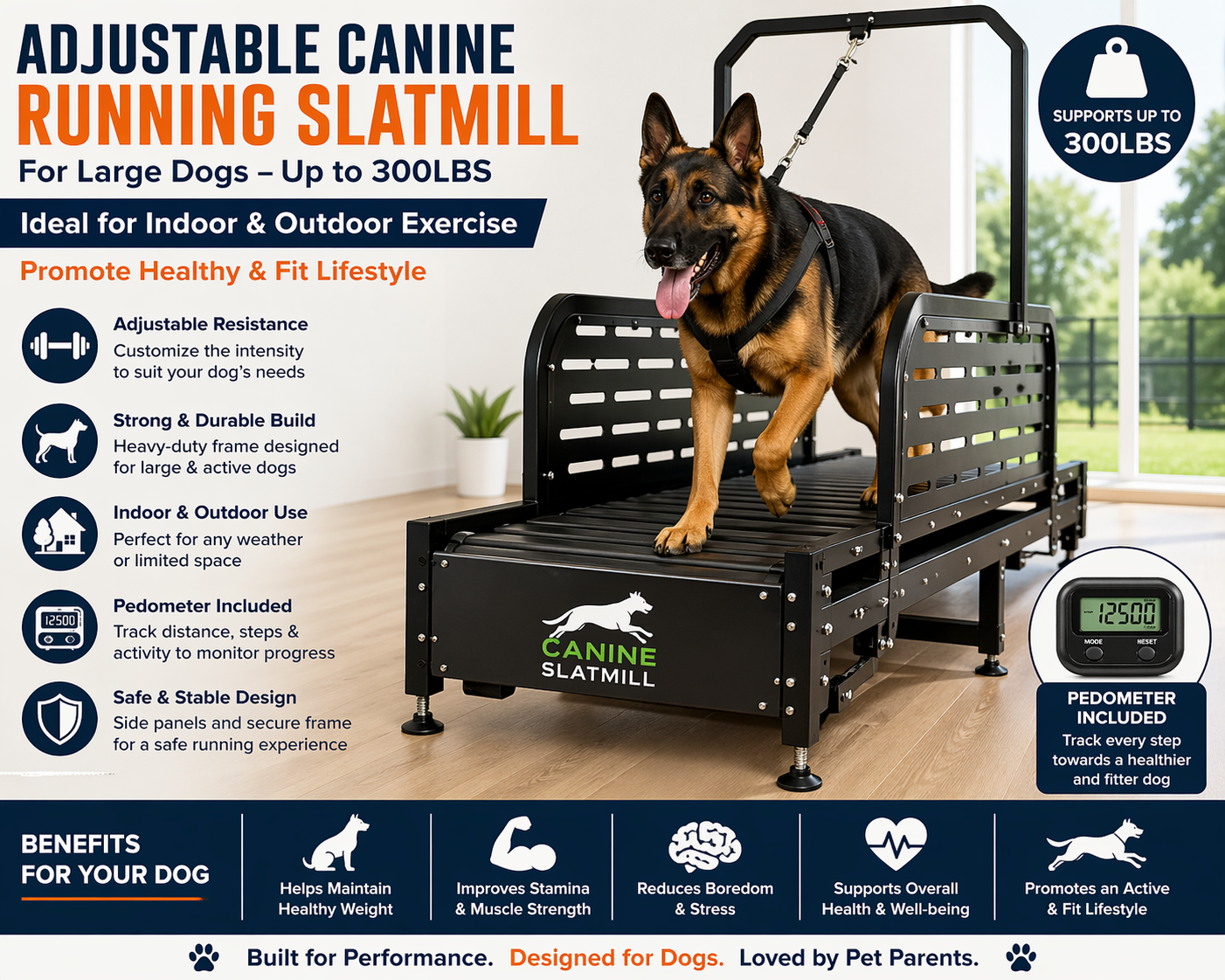 Adjustable Dog Treadmill for Large Dogs