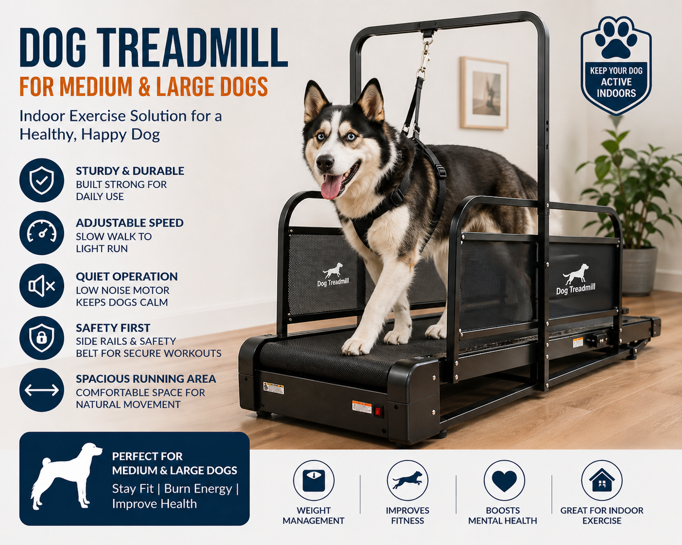 BowWow Dog Treadmill for Medium Dogs: