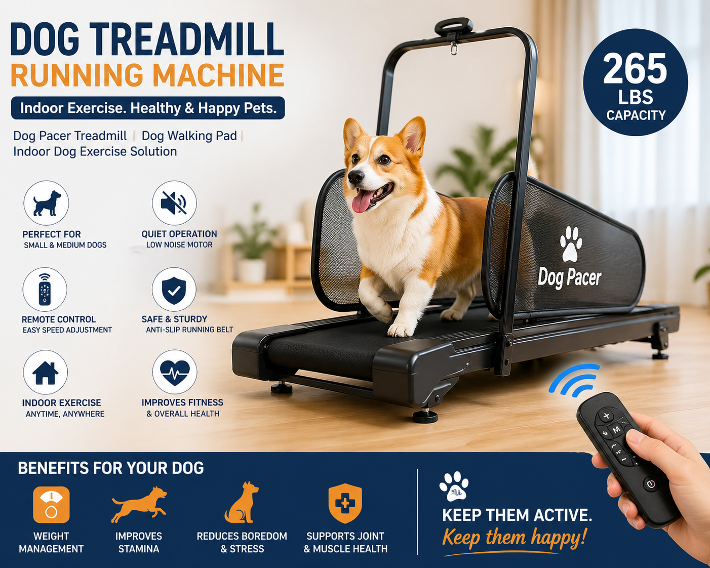 Dog Treadmill for Small Medium Dogs