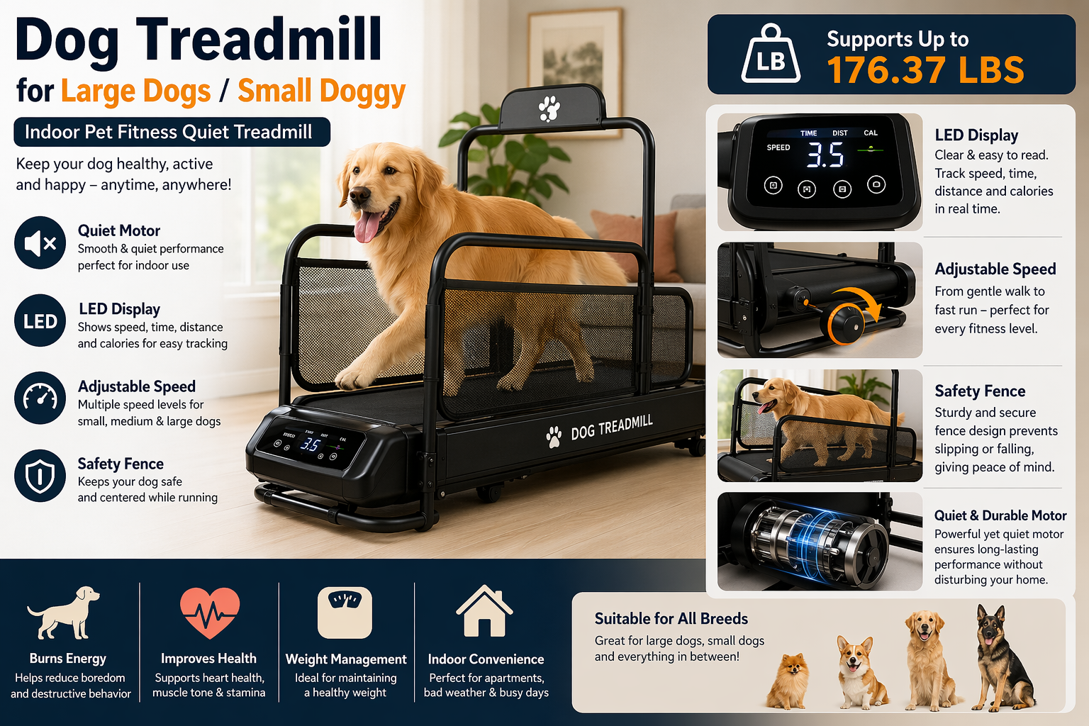 Dog Treadmill for Large Dogs/Small Doggy