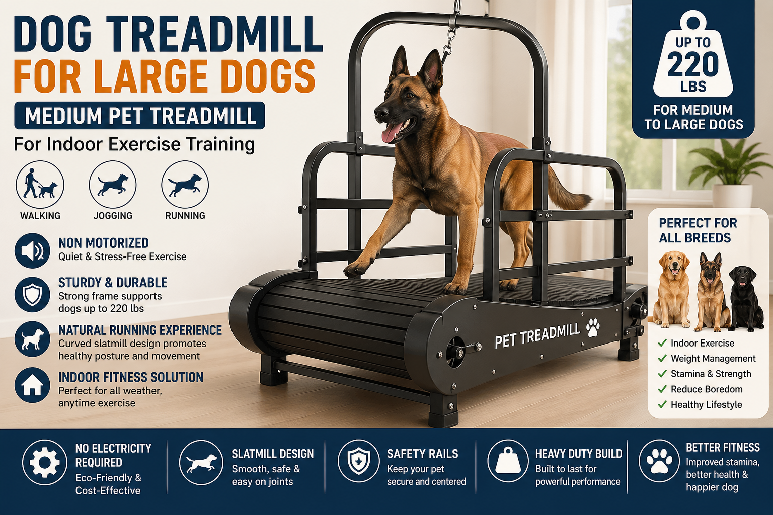 Medium Dog Treadmill for Indoor Exercise Training: