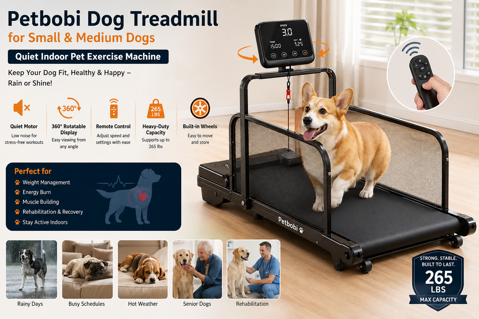 Petbobi Dog Treadmill for Medium Dogs: