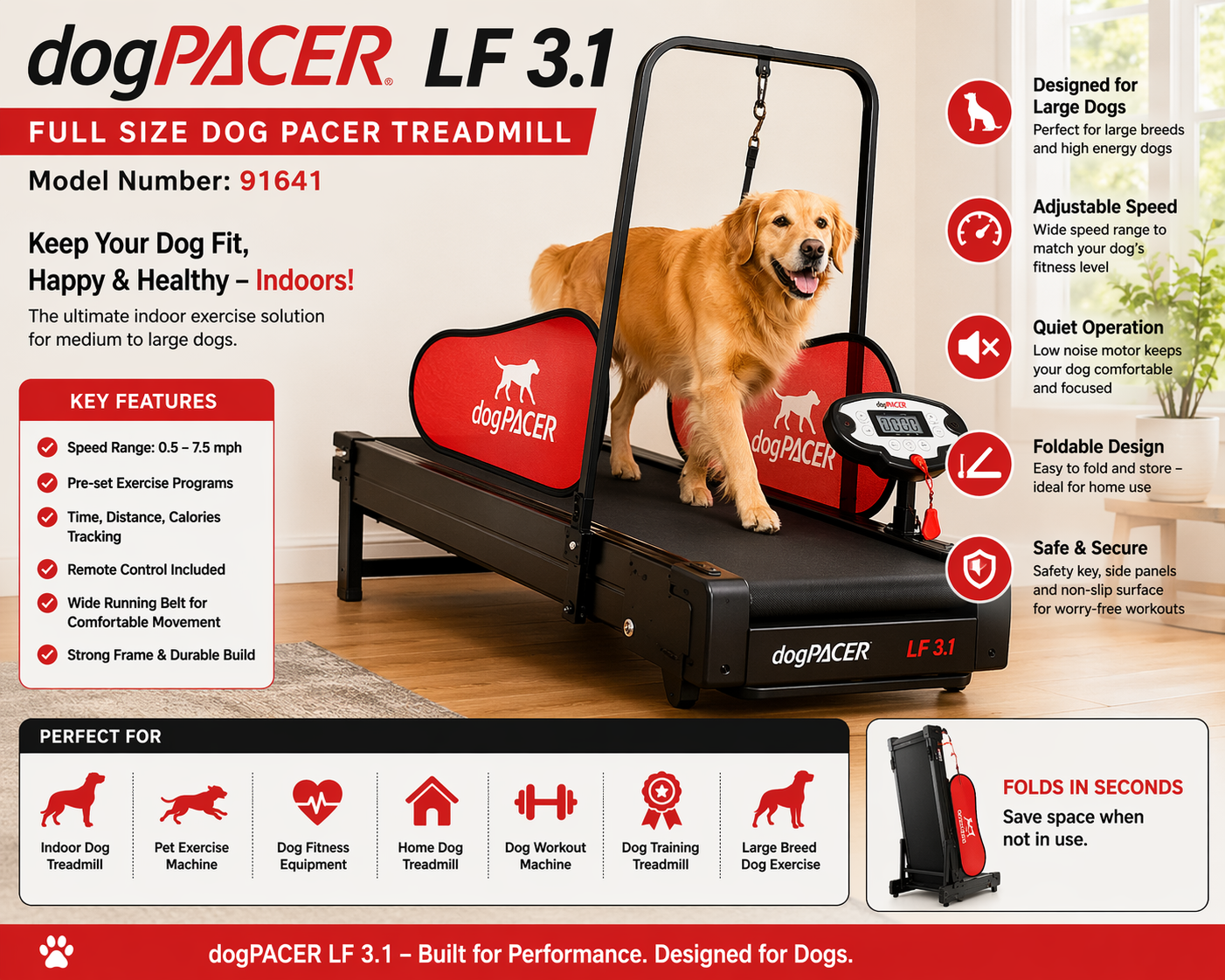 dogPACER LF 3.1 Full Size Dog Treadmill