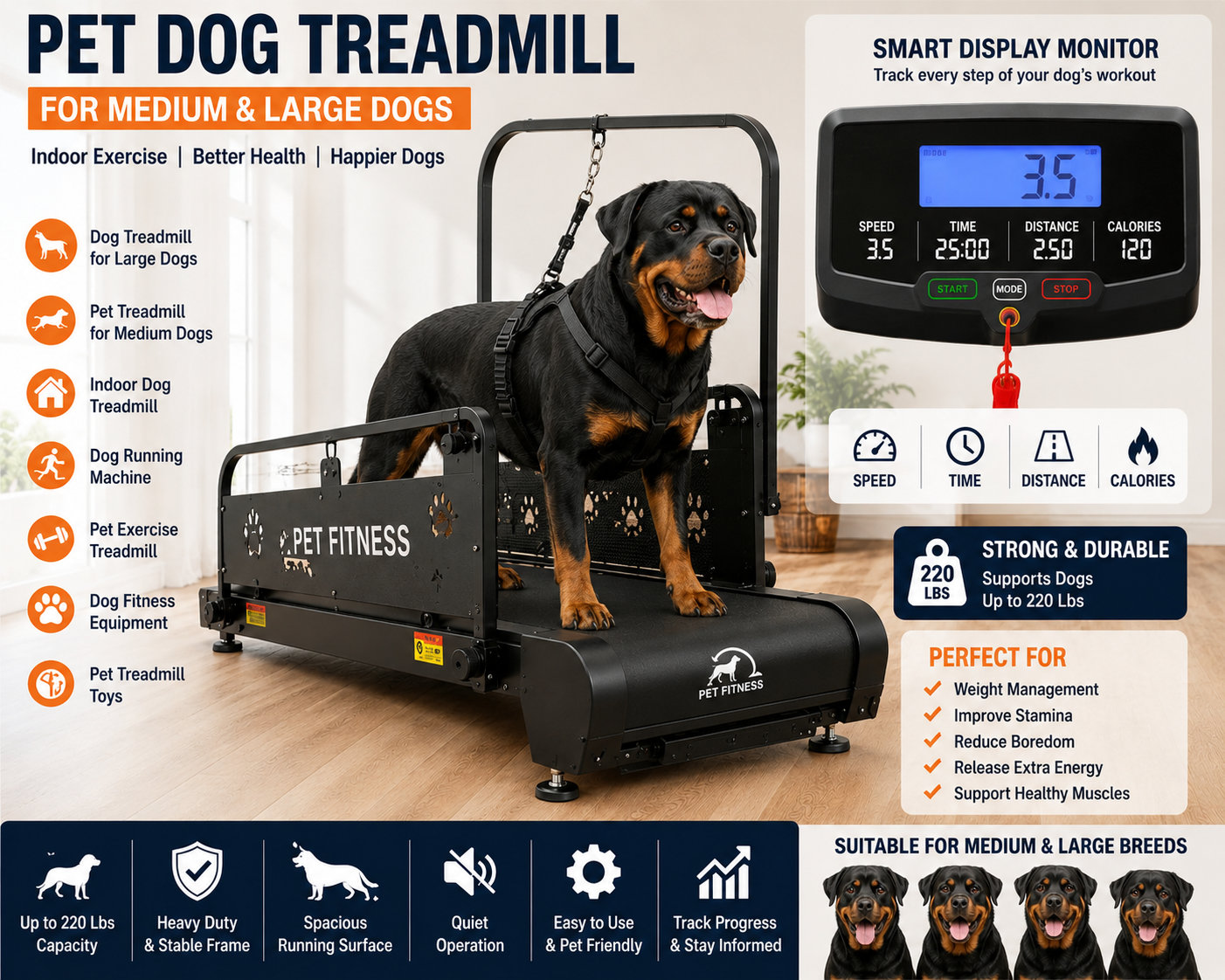 Dandanm Dog Treadmill For Medium & Large Dogs