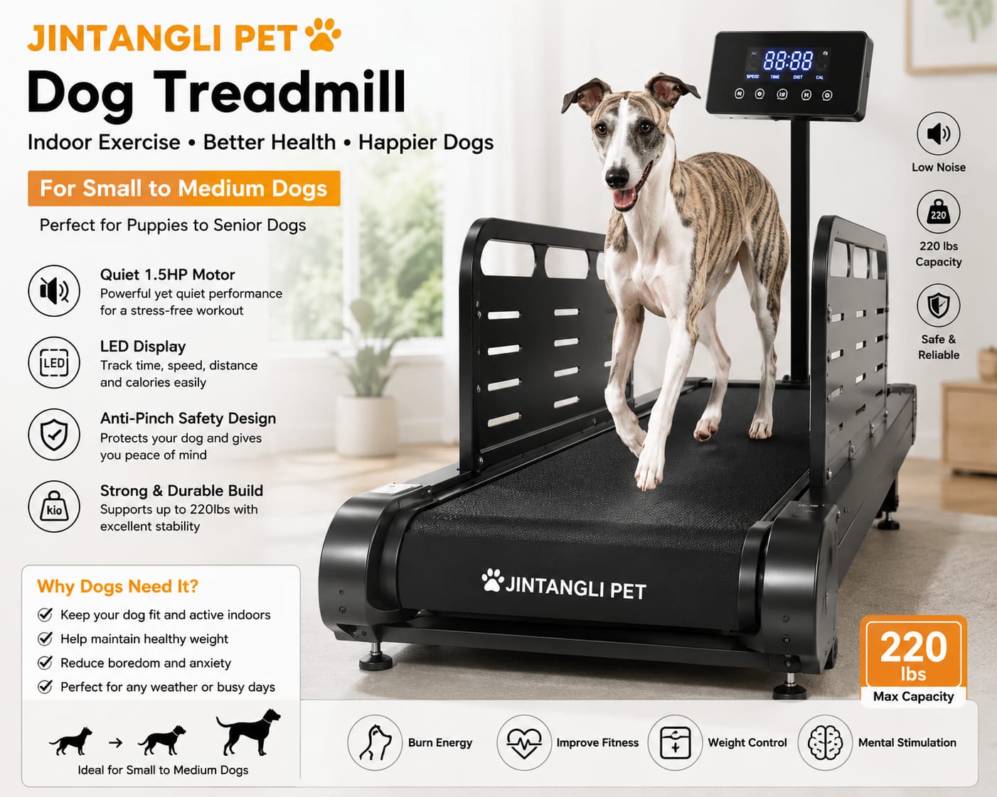 JINTANGLI Dog Treadmill For Small & Medium Dogs