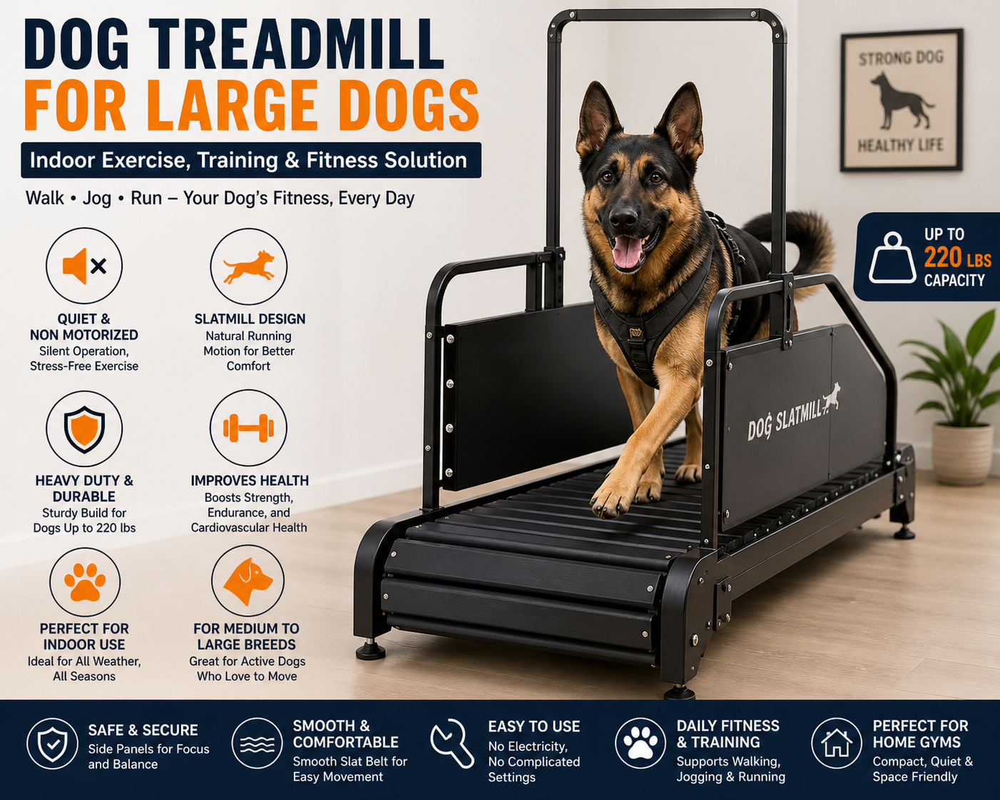 Medium Dog Treadmill for Indoor Exercise