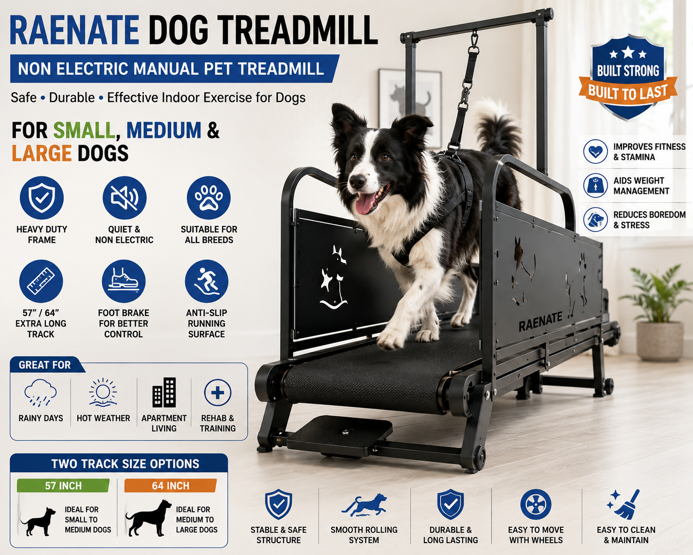 Raenate Dog Treadmill For Medium And Large Dogs