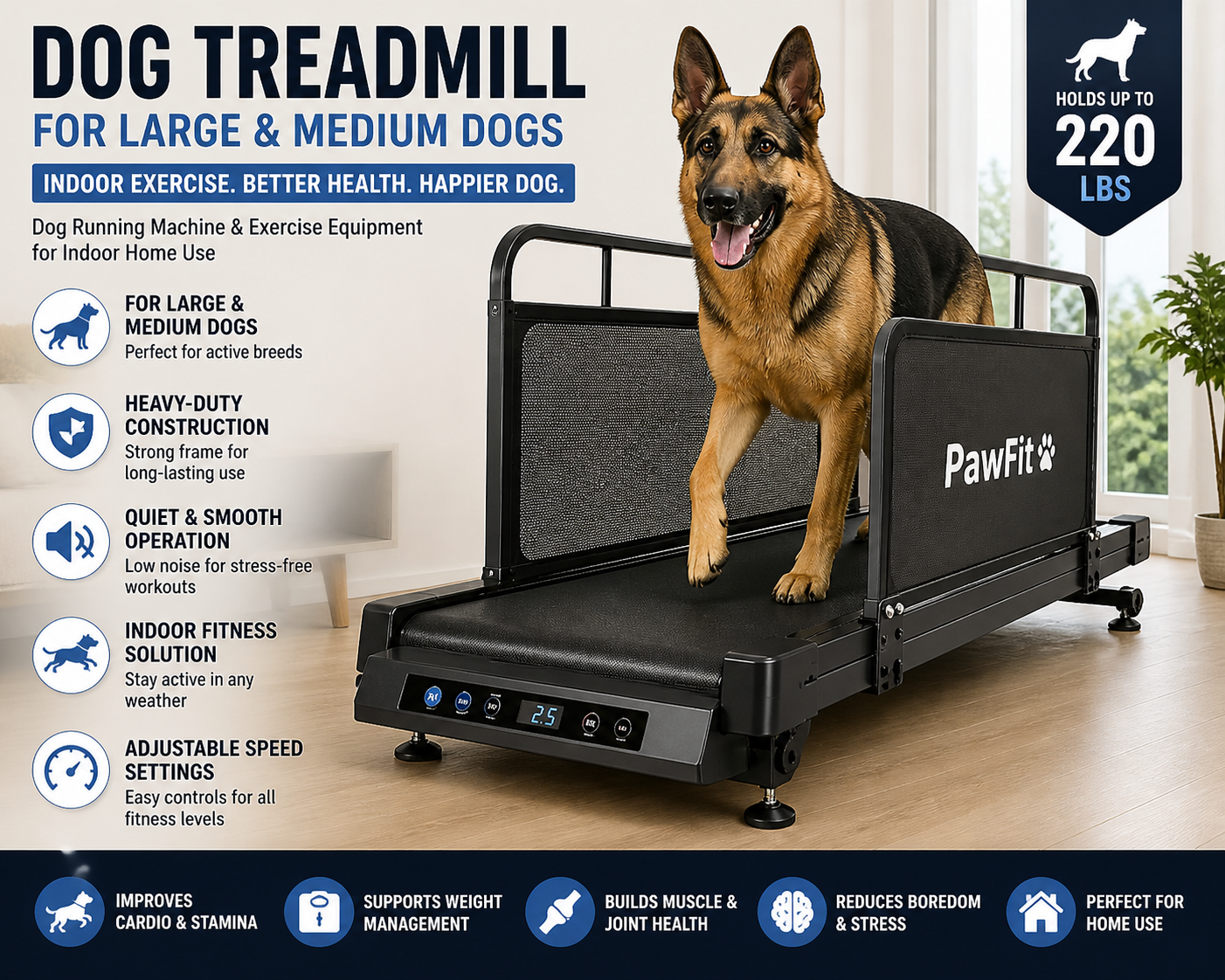 Heavy Dog Treadmill for Large Dogs