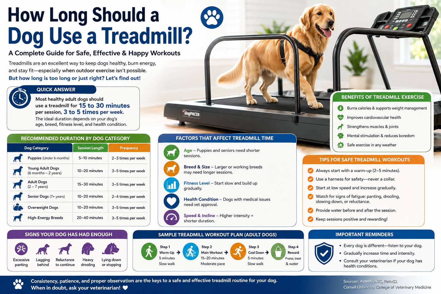 How Long Should a Dog Use a Treadmill?